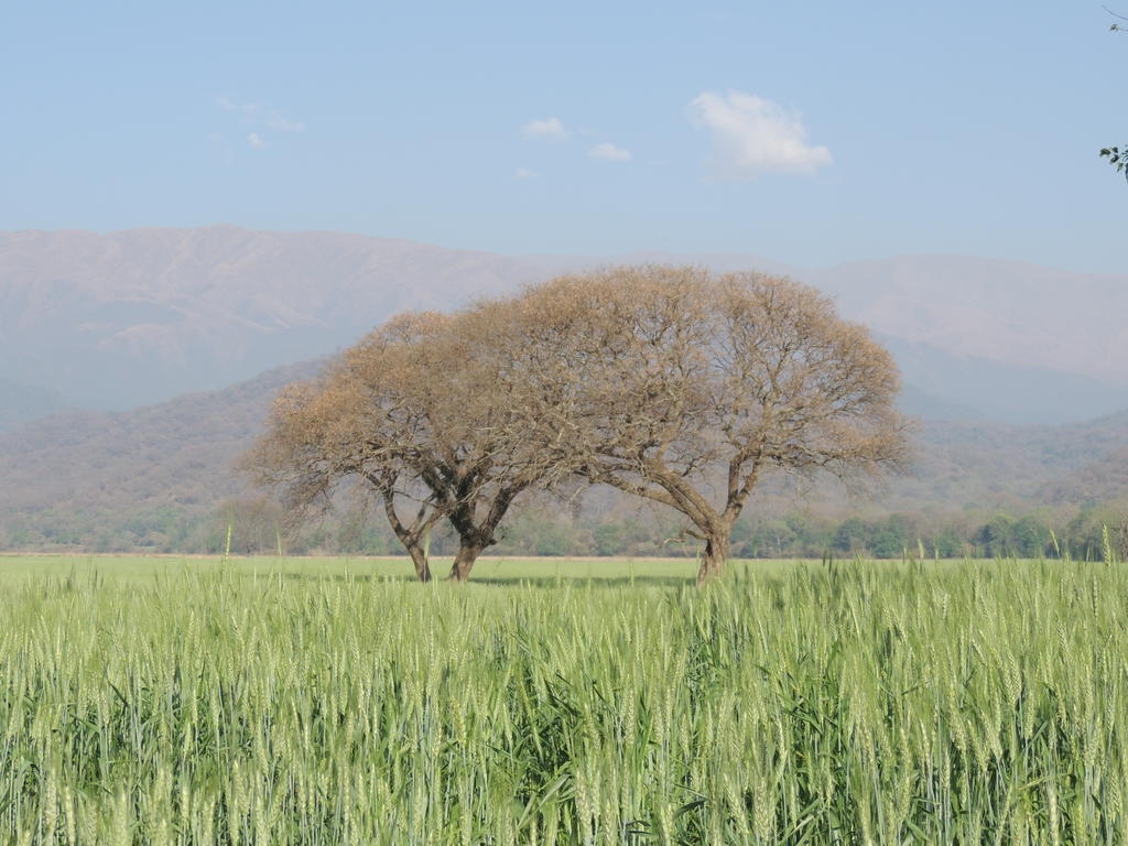 Finca Las Margaritas Chicoana Kültér fotó