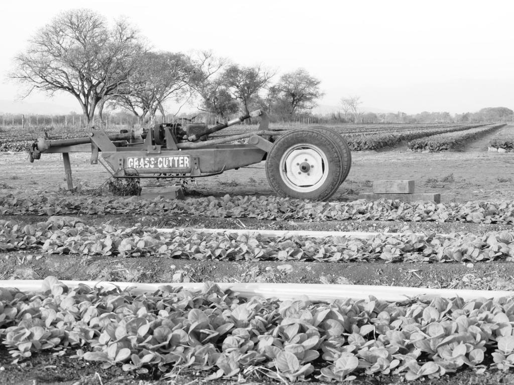 Finca Las Margaritas Chicoana Kültér fotó