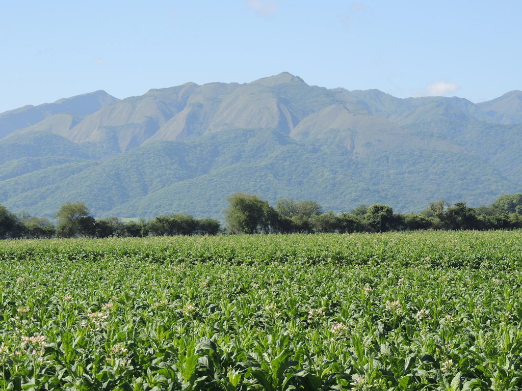 Finca Las Margaritas Chicoana Kültér fotó