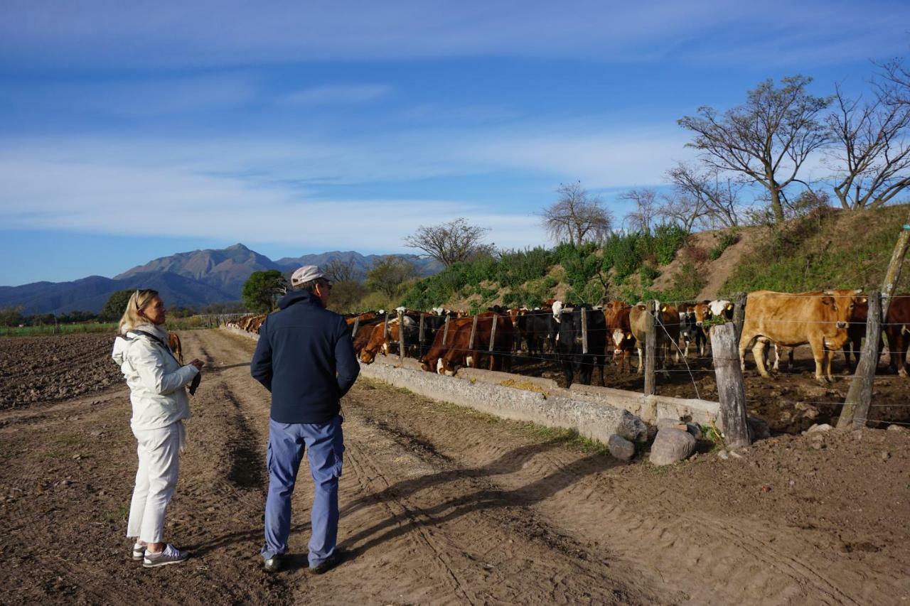 Finca Las Margaritas Chicoana Kültér fotó